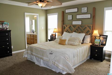 235 Lake Rd, Steele, AL 35987 photo 13