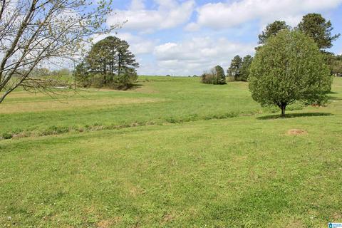 235 Lake Rd, Steele, AL 35987 photo 3