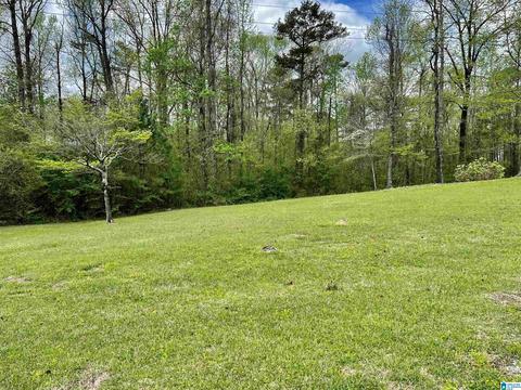 655 Skyline Dr, Warrior, AL 35180 photo 14