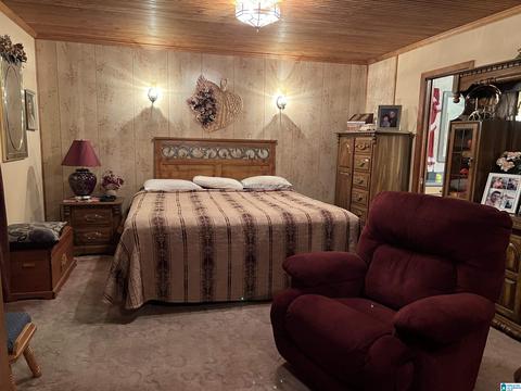 655 Skyline Dr, Warrior, AL 35180 photo 31