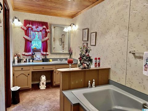 655 Skyline Dr, Warrior, AL 35180 photo 35