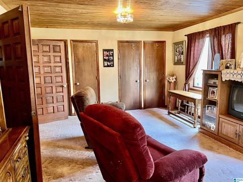 655 Skyline Dr, Warrior, AL 35180 photo 32