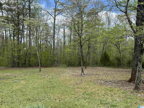 655 Skyline Dr, Warrior, AL 35180 photo 15