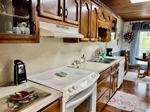 655 Skyline Dr, Warrior, AL 35180 photo 26