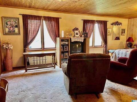 655 Skyline Dr, Warrior, AL 35180 photo 30
