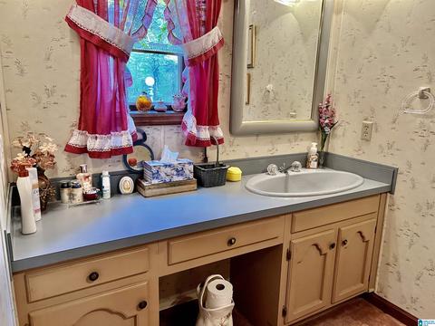 655 Skyline Dr, Warrior, AL 35180 photo 33