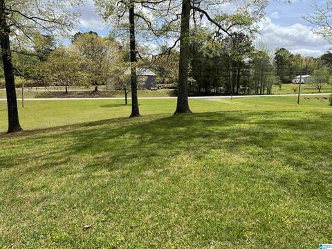 655 Skyline Dr, Warrior, AL 35180 photo 18