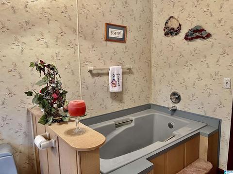 655 Skyline Dr, Warrior, AL 35180 photo 34