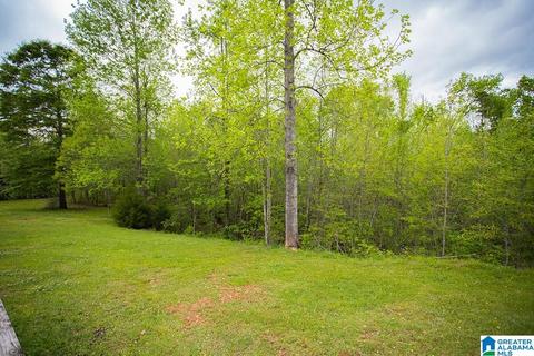 2004 Timber Ln, Alabaster, AL 35007 photo 41