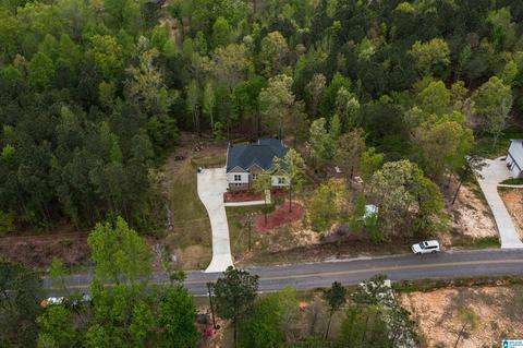 89 Tyler Rd, Remlap, AL 35133 photo 28