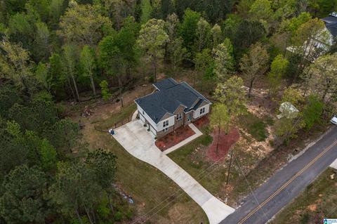 89 Tyler Rd, Remlap, AL 35133 photo 29