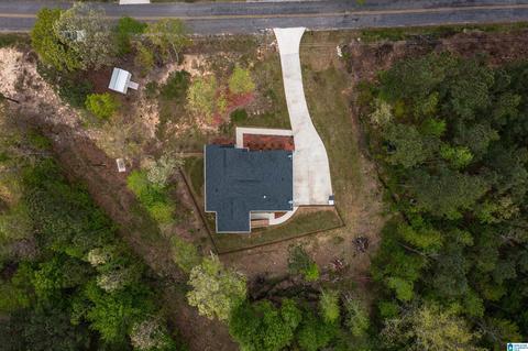 89 Tyler Rd, Remlap, AL 35133 photo 27
