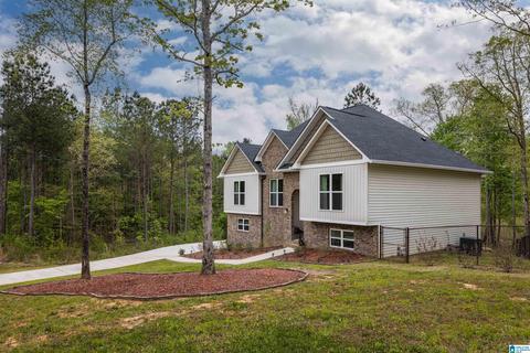 89 Tyler Rd, Remlap, AL 35133 photo 3