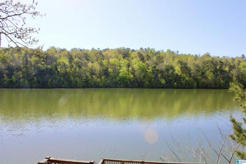 1645 Overlook Pt, Warrior, AL 35180 photo 13