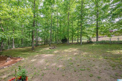 508 Hayfield Loop Rd, Dora, AL 35062 photo 39