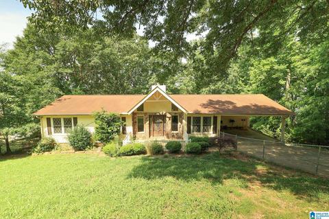 916 E Haven Dr, Glencoe, AL 35905 photo 1