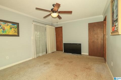 916 E Haven Dr, Glencoe, AL 35905 photo 24
