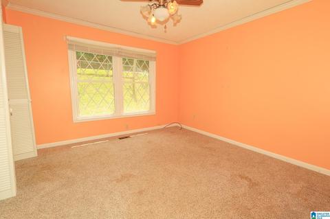 916 E Haven Dr, Glencoe, AL 35905 photo 25