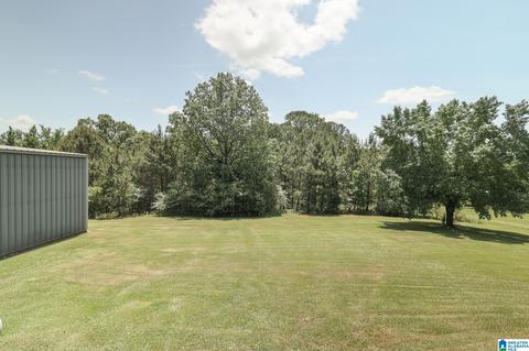 21135 Washington Dr, Vance, AL 35490 photo 39