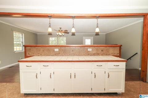 21135 Washington Dr, Vance, AL 35490 photo 8