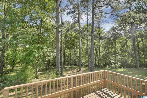 3000 Skyline Dr, Warrior, AL 35180 photo 21