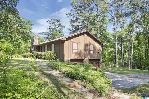 3000 Skyline Dr, Warrior, AL 35180 photo 19
