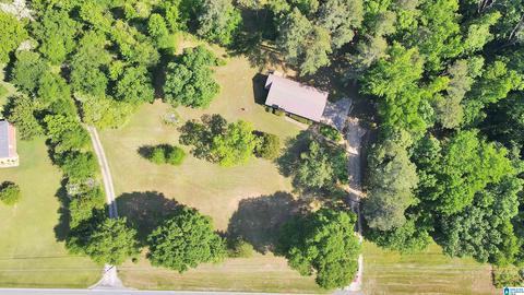 3000 Skyline Dr, Warrior, AL 35180 photo 22