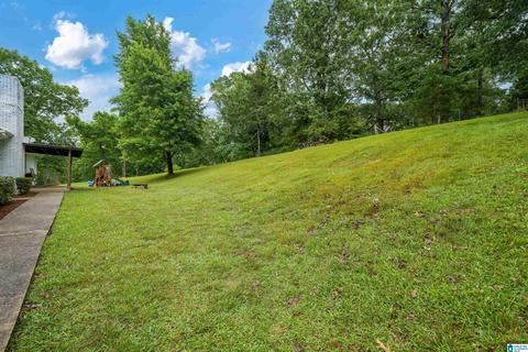 3552 Red Valley Rd, Remlap, AL 35133 photo 25