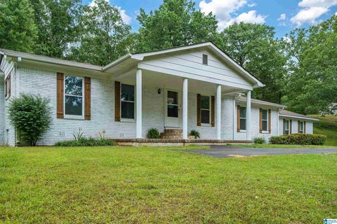 3552 Red Valley Rd, Remlap, AL 35133 photo 2