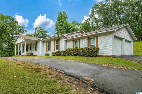 3552 Red Valley Rd, Remlap, AL 35133 photo 3