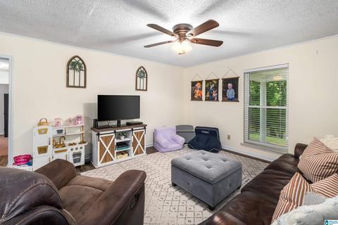 3552 Red Valley Rd, Remlap, AL 35133 photo 6