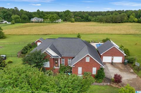 2869 Yellow Leaf Rd, Clanton, AL 35045 photo 5