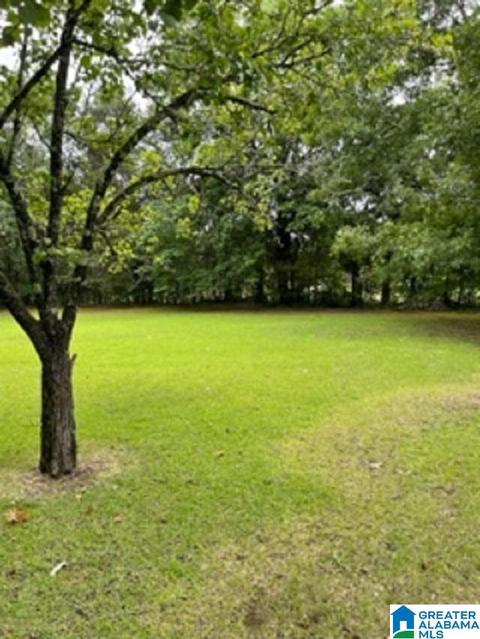 303 E Herbert St, Demopolis, AL 36732 photo 15