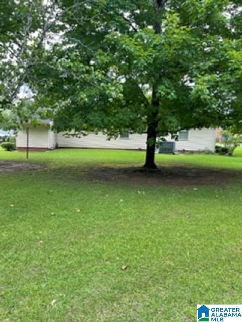 303 E Herbert St, Demopolis, AL 36732 photo 17