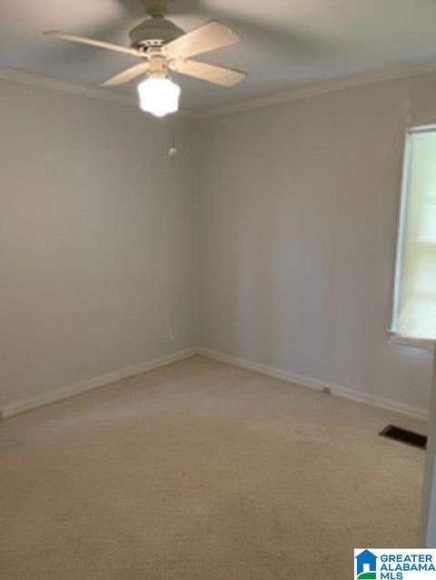 303 E Herbert St, Demopolis, AL 36732 photo 10
