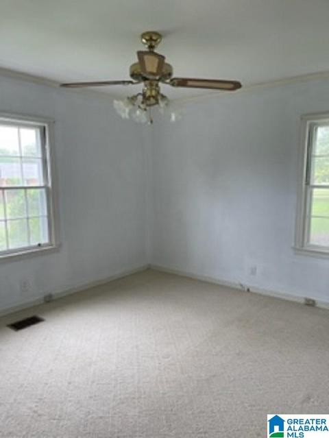 303 E Herbert St, Demopolis, AL 36732 photo 11
