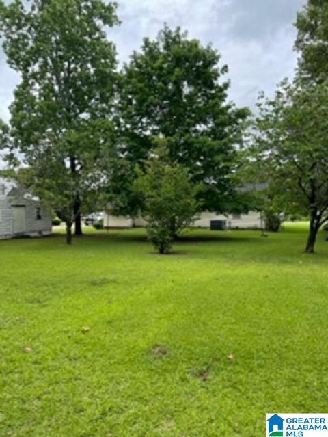 303 E Herbert St, Demopolis, AL 36732 photo 16