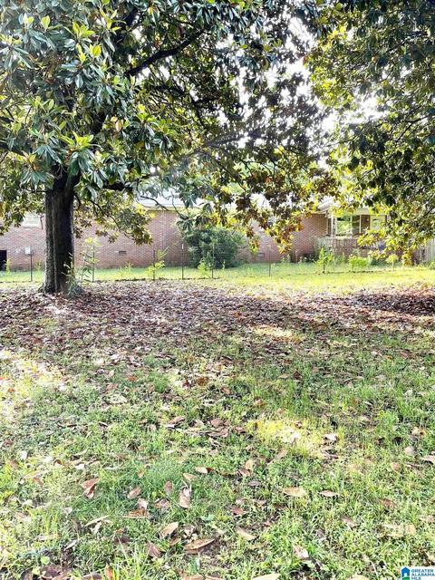 251 County Road 490, Fruithurst, AL 36262 photo 4