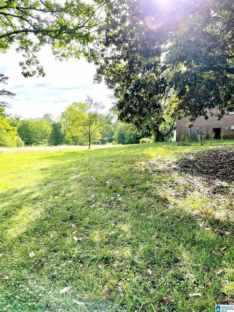 251 County Road 490, Fruithurst, AL 36262 photo 3