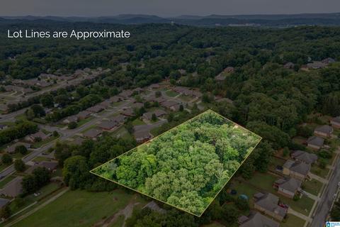 397 Cedar Ln, Maylene, AL 35114 photo 48