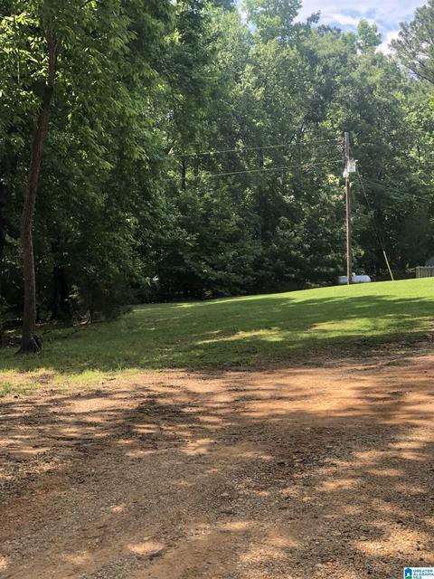 453 County Road 252, Clanton, AL 35046 photo 4