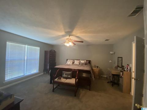 453 County Road 252, Clanton, AL 35046 photo 9