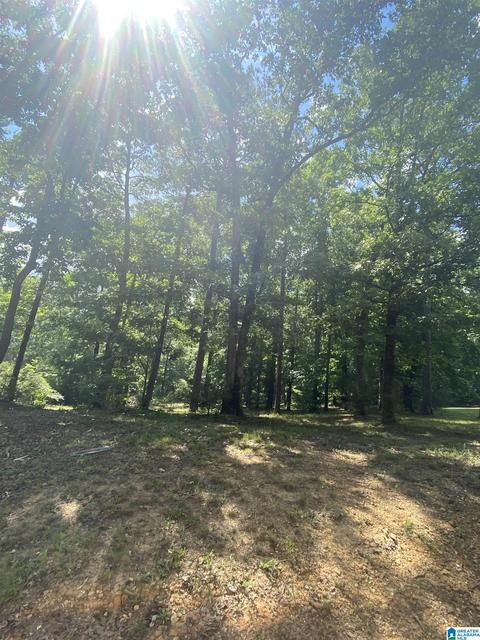 453 County Road 252, Clanton, AL 35046 photo 24