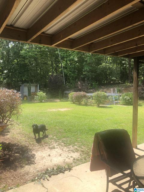453 County Road 252, Clanton, AL 35046 photo 30