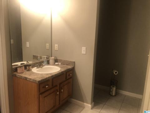 453 County Road 252, Clanton, AL 35046 photo 15