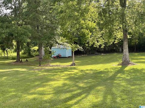 807 3rd St N, Clanton, AL 35045 photo 12