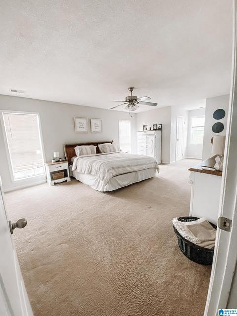 74 County Road 374, Clanton, AL 35045 photo 12