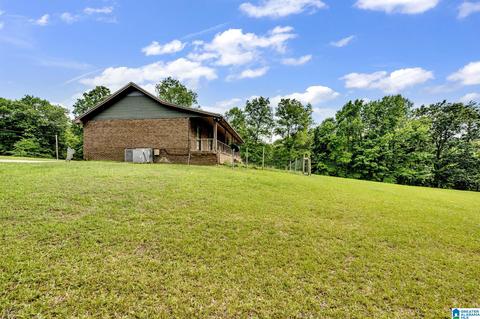 2602 Tim King Rd, Oneonta, AL 35121 photo 4