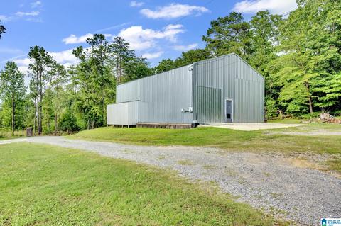 2602 Tim King Rd, Oneonta, AL 35121 photo 26