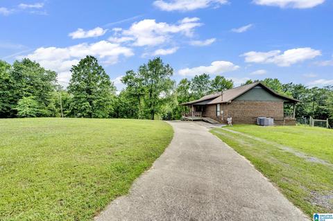 2602 Tim King Rd, Oneonta, AL 35121 photo 3
